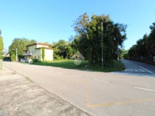 Zona