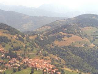 Vista