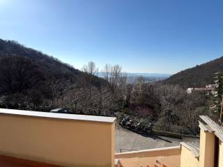 Vista