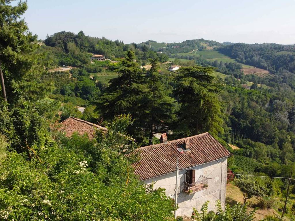 Vista