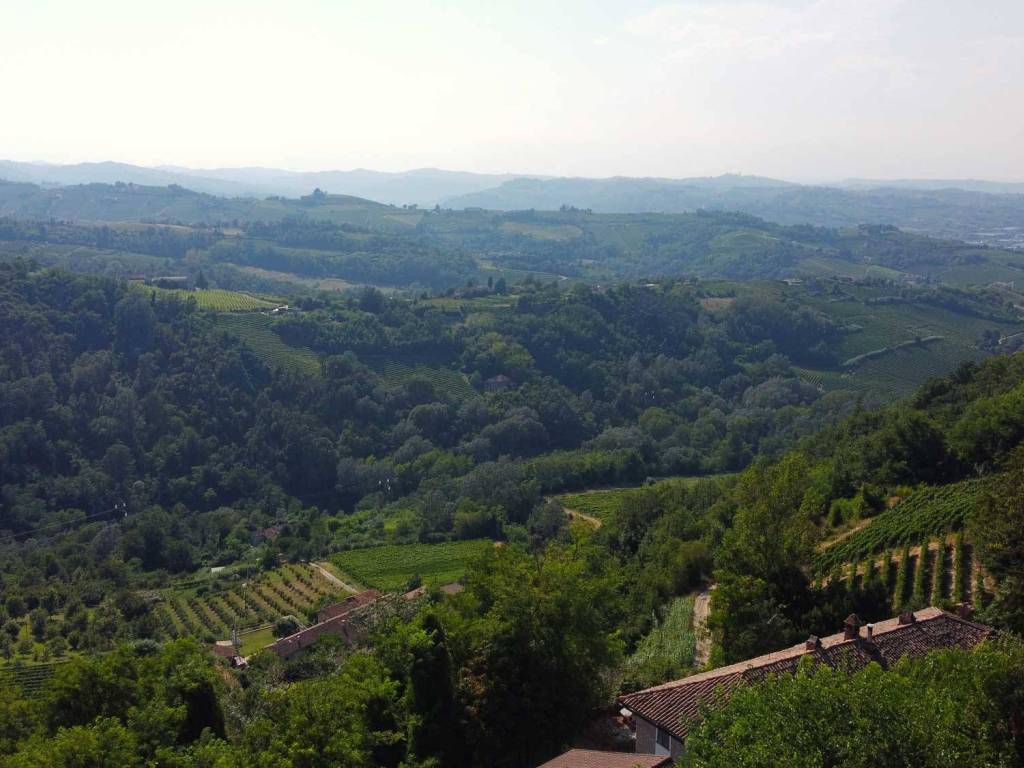 Vista