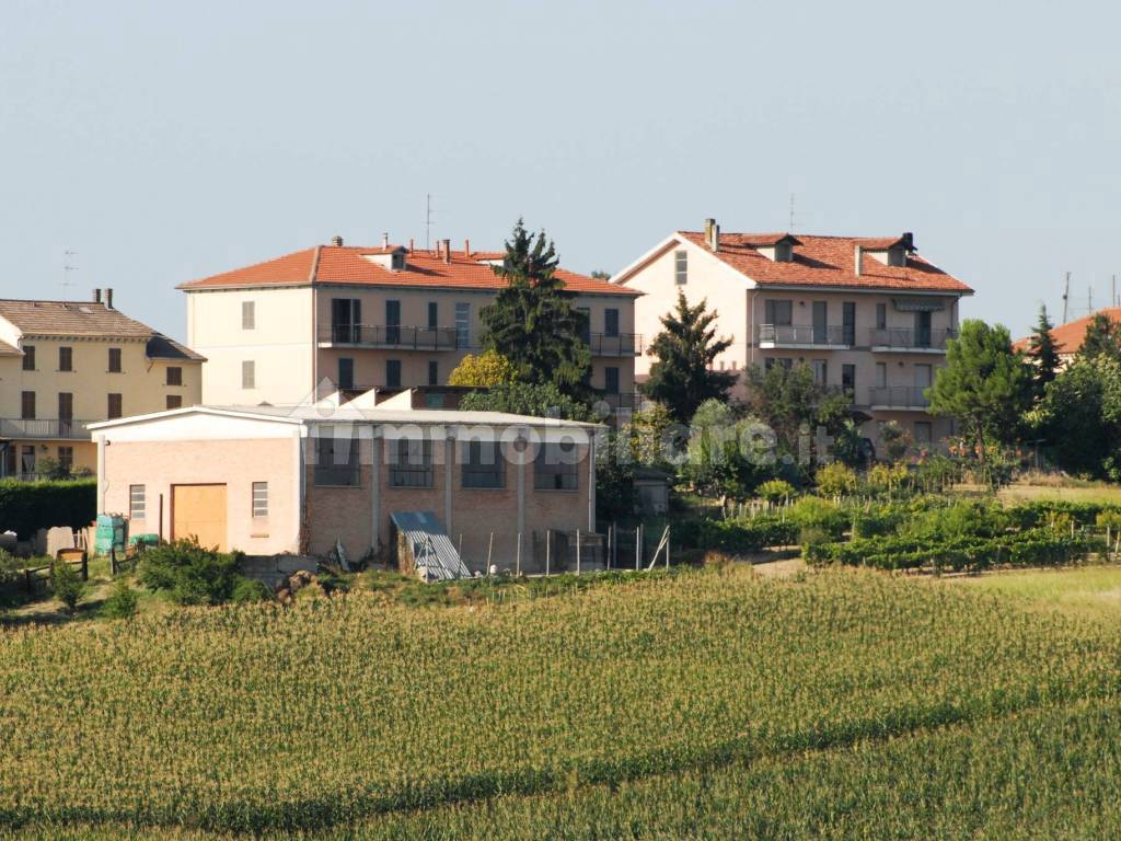 Vista
