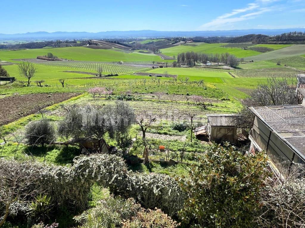 Vista