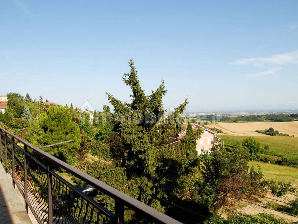 Vista