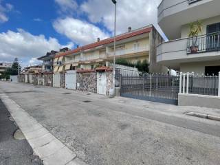 Zona