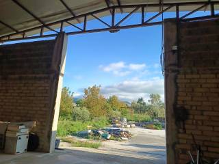 Magazzino