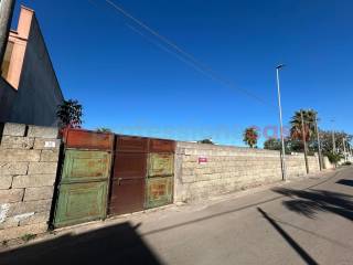 Zona