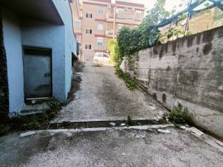 Zona