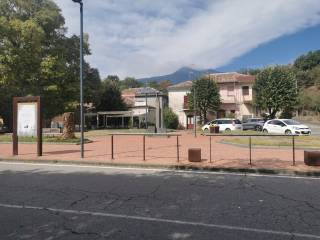 Zona