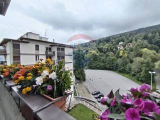 Vista