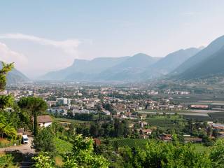 Vista