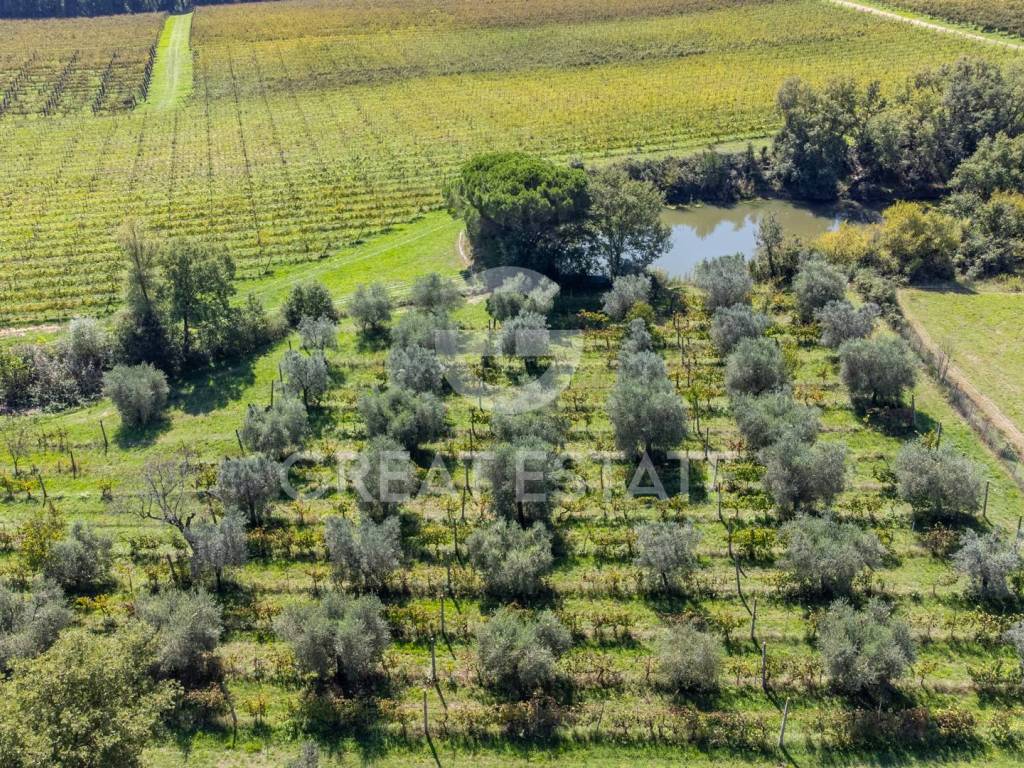 Terreno