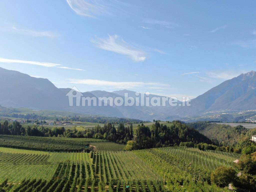 Vista