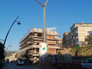 Zona