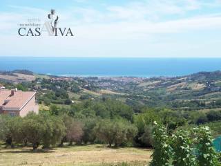 Vista
