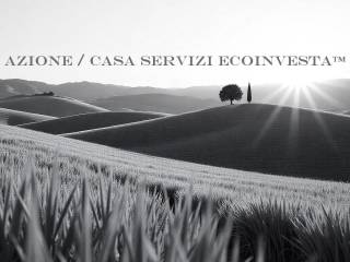 Zona