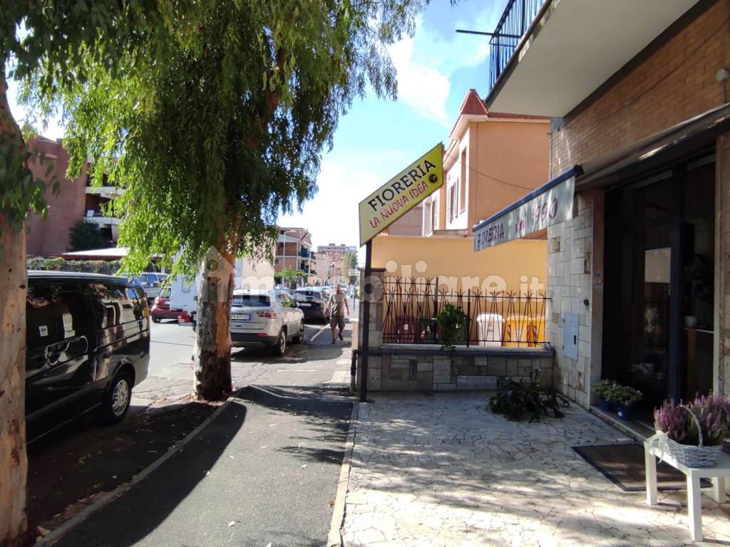 Zona