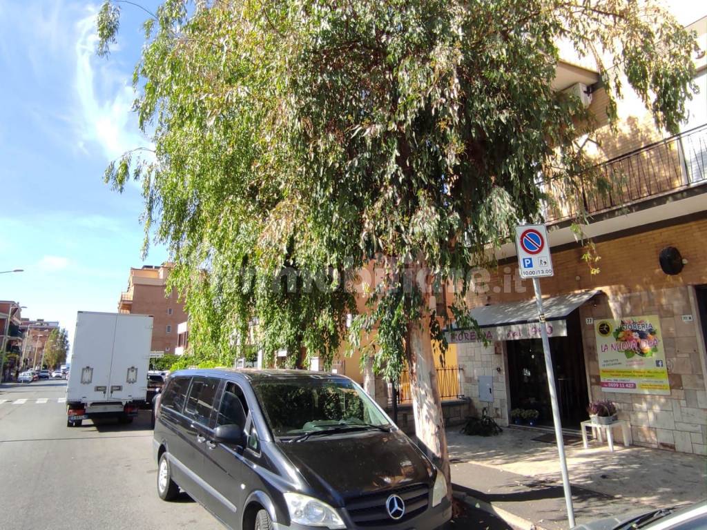 Zona