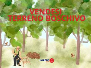 Altro