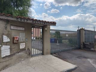 Ingresso