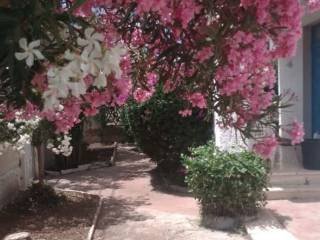 Cortile interno