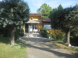 Zona