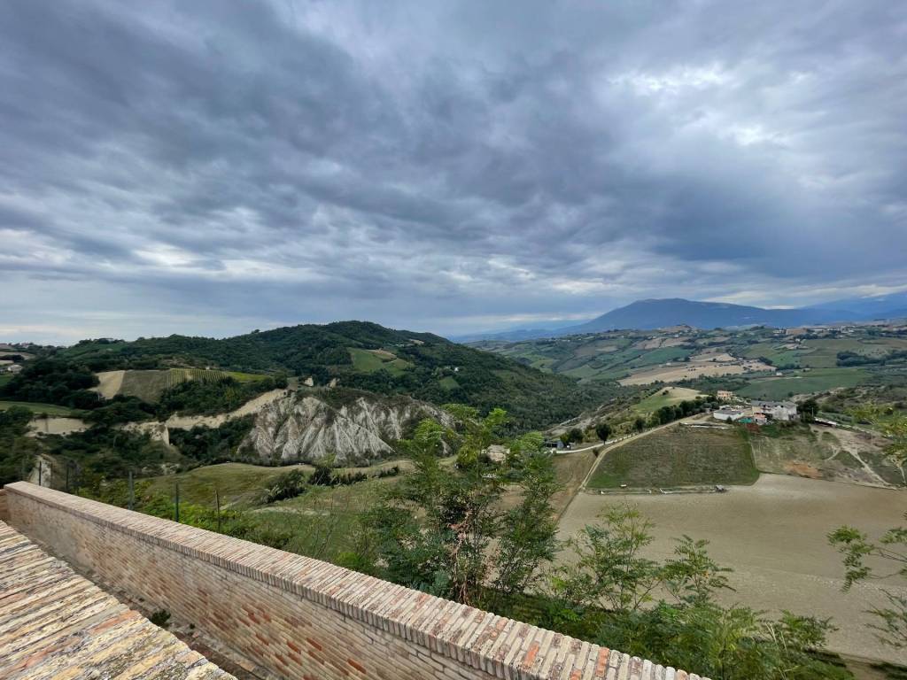 Vista