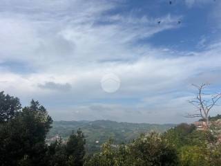 Vista