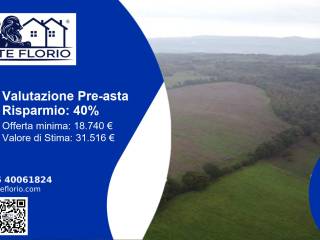 Altro