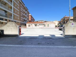 Zona