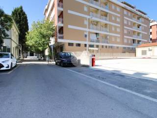 Zona