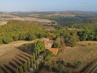 Vista
