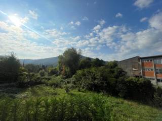Vista