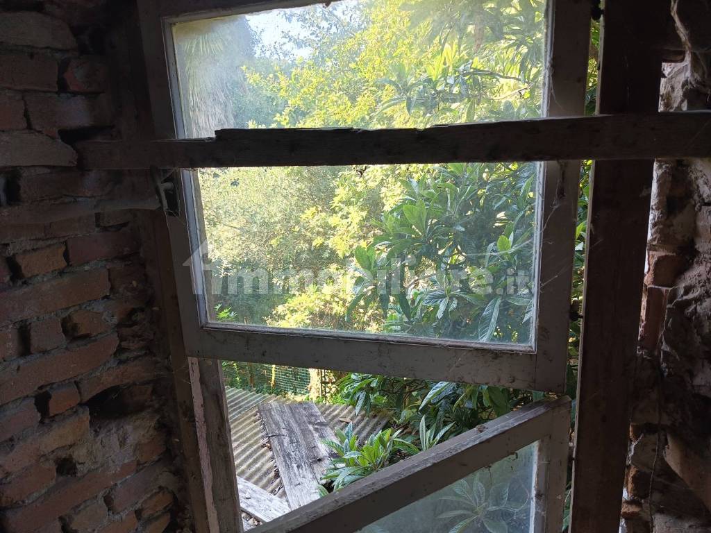 Vista