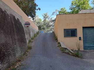 Zona