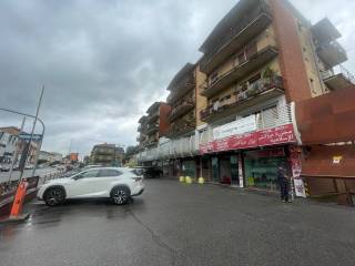 Zona