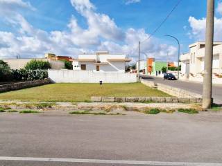 Zona