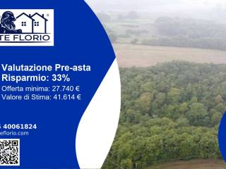 Altro