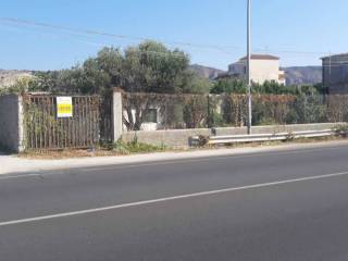 Zona
