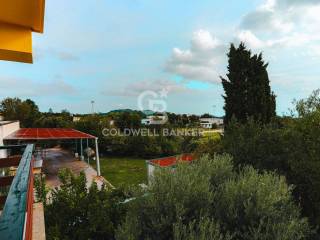 Vista