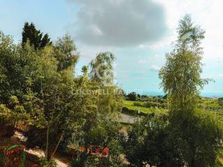 Vista