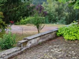 Zona