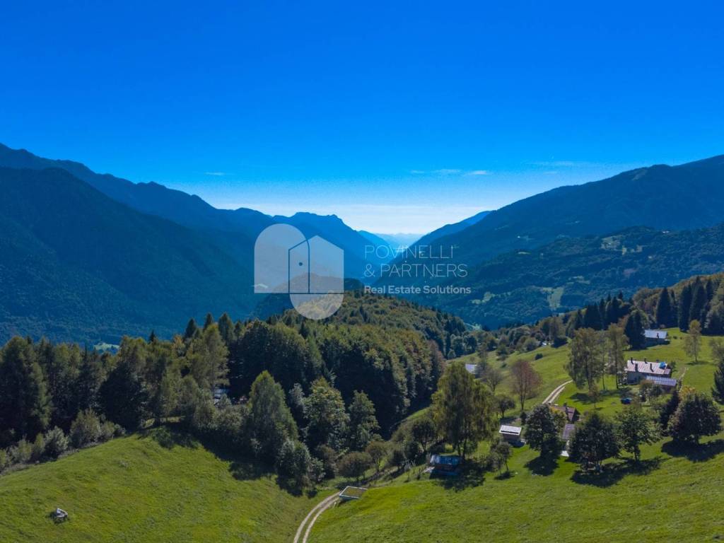Vista