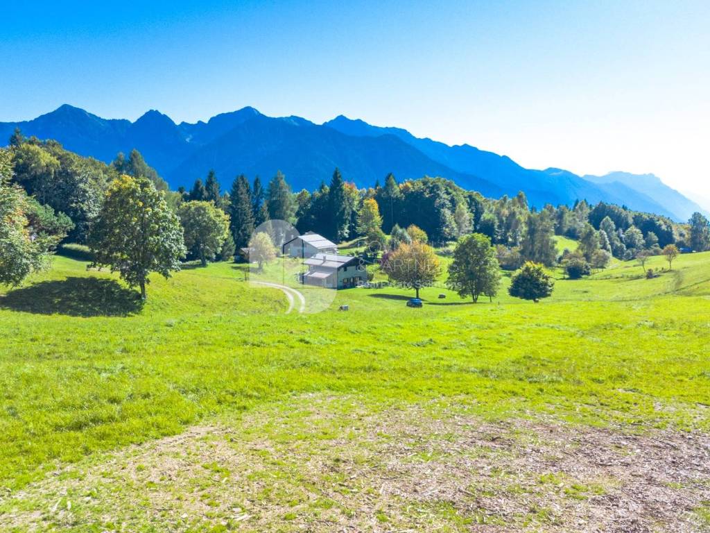 Vista