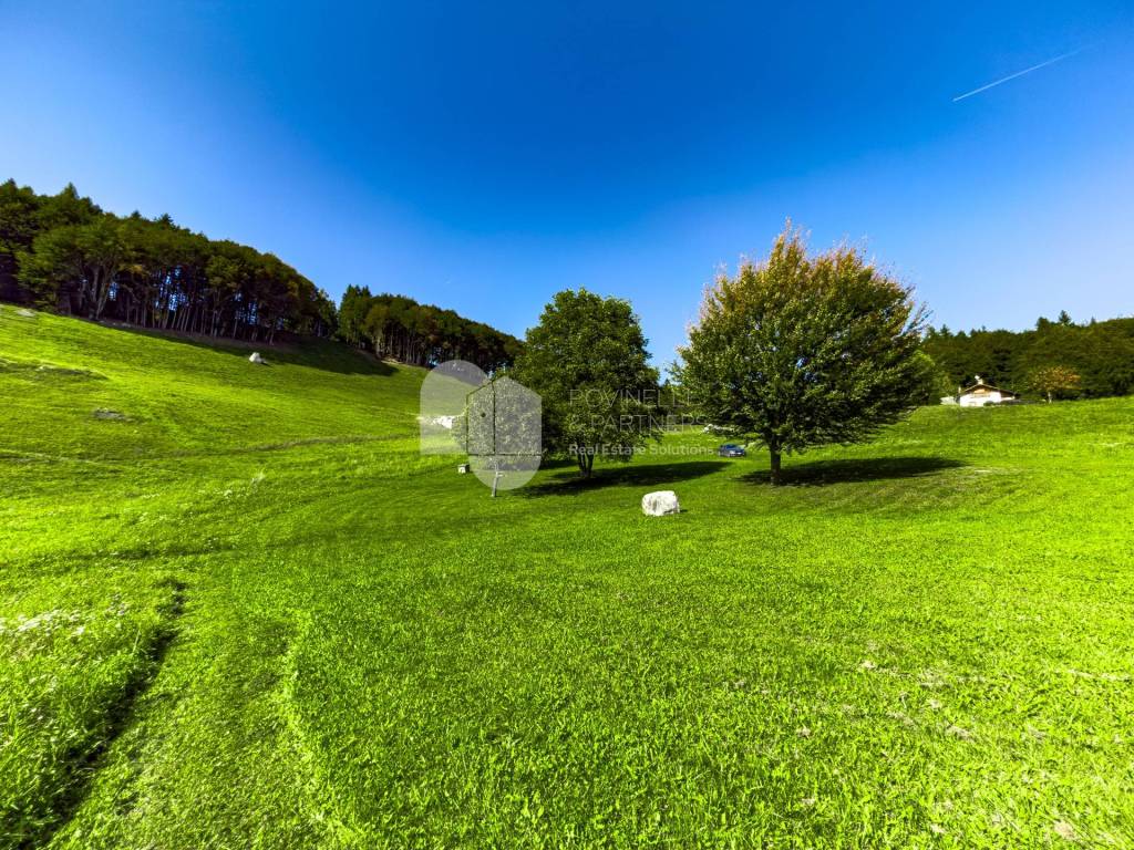 Vista