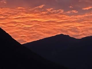 Vista