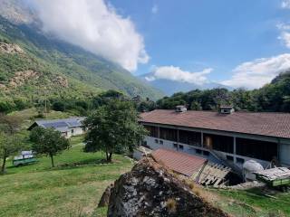 Vista