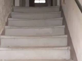 Scala