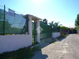 Zona