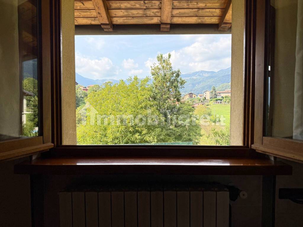 Vista